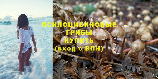 прущий лед Тайга