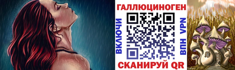 цены наркотик Новоржев MEGA как войти Псилоцибиновые грибы Psilocybe